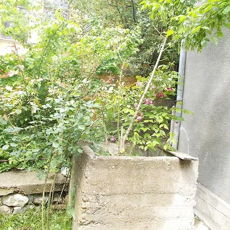 Prázdninový dům Holiday Dzhinneta Veliko Tarnovo